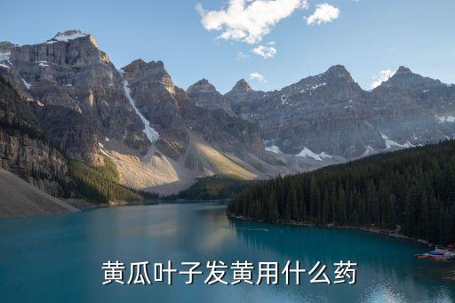 黃瓜打什么農藥補鈣快些,黃瓜籽和什么補鈣好