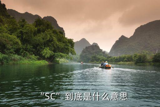 農藥后面sc是什么意思,農藥有效成分含量是什么意思