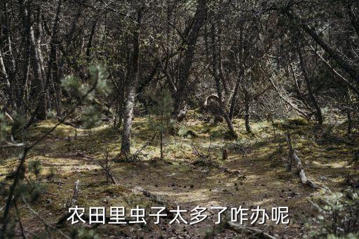 莊稼長蟲用什么農藥,蔬菜長蟲用什么農藥