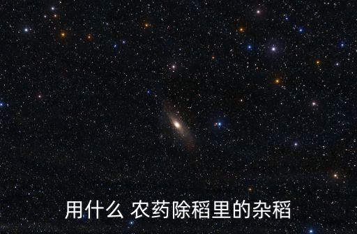 有什么農藥殺死水稻,水稻農藥什么時間打效果最好