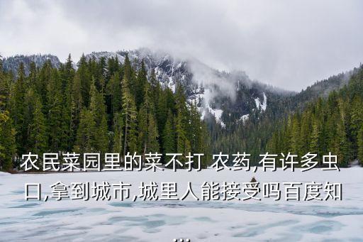 農(nóng)民菜園里的菜不打 農(nóng)藥,有許多蟲口,拿到城市,城里人能接受嗎百度知...