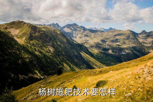  楊樹施肥技術(shù)要怎樣