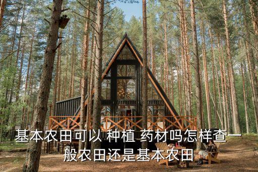 基本農田可以 種植 藥材嗎怎樣查一般農田還是基本農田