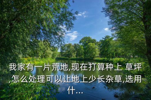 春天草坪打什么農藥,草坪治蟲用什么農藥