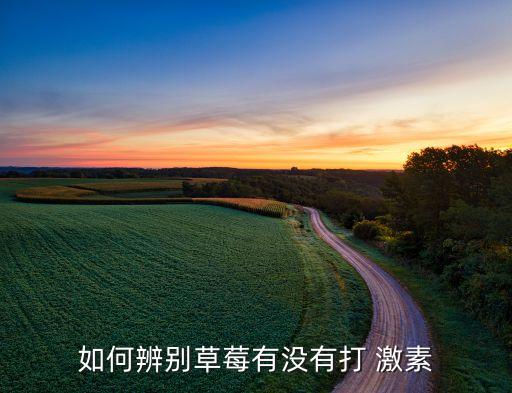 如何辨別草莓有沒有打 激素