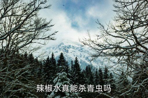 辣椒水真能殺青蟲嗎