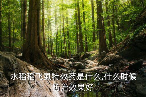 水稻近期用什么農藥,水稻農藥什么時間打效果最好