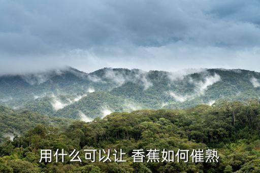 泰國香蕉用什么農藥好使,香蕉噴什么農藥