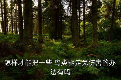 什么農藥可以驅逐鳥類