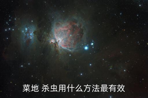 菜地 殺蟲用什么方法最有效