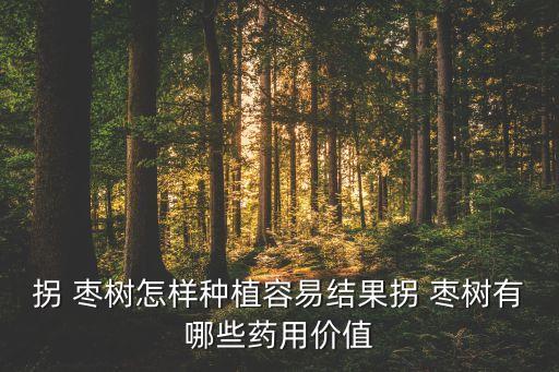 拐 棗樹怎樣種植容易結(jié)果拐 棗樹有哪些藥用價(jià)值
