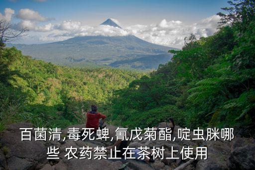 百菌清,毒死蜱,氰戊菊酯,啶蟲脒哪些 農藥禁止在茶樹上使用