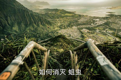 蛆蟲怕什么農藥,根腐病最怕什么農藥