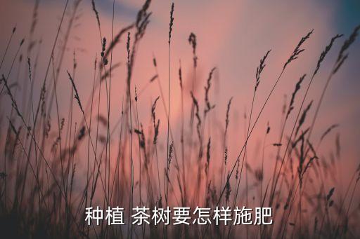茶樹使用什么農(nóng)藥,沒有什么的使用農(nóng)藥