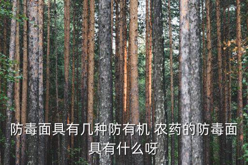 打農(nóng)藥戴的面罩叫什么