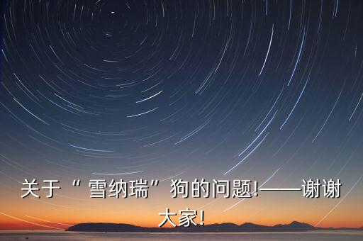 關于“ 雪納瑞”狗的問題!——謝謝大家!