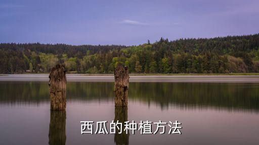露地西瓜什么時(shí)候打農(nóng)藥,西瓜幼苗什么時(shí)候噴農(nóng)藥