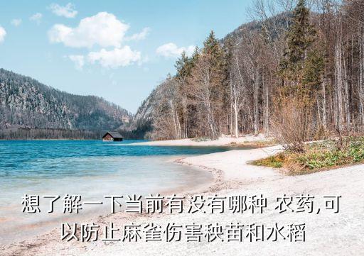 想了解一下當前有沒有哪種 農藥,可以防止麻雀傷害秧苗和水稻