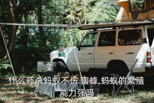 打農藥加什么對蜜蜂無害,蜜蜂中農藥都用什么藥好呢