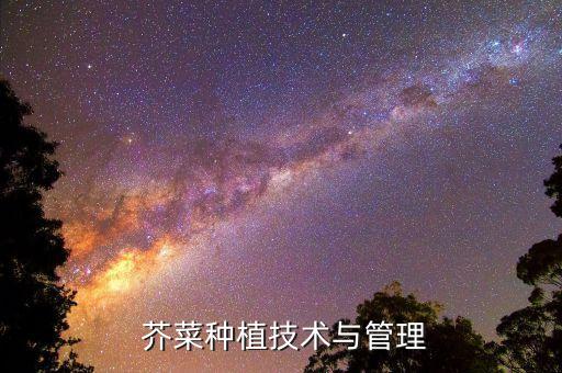 芥菜種植技術(shù)與管理