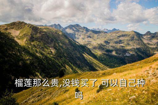  榴蓮那么貴,沒錢買了,可以自己種嗎