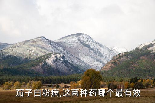  茄子白粉病,這兩種藥哪個最有效