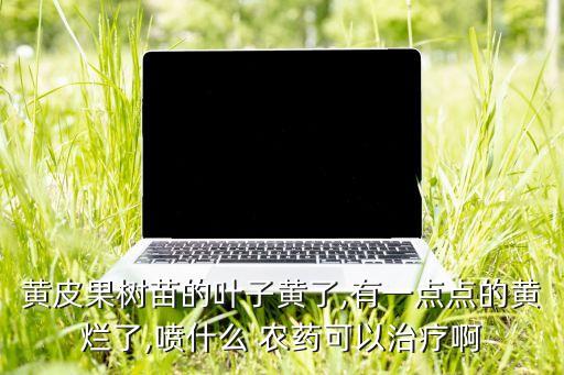 黃葉病噴什么農(nóng)藥好,黃葉一噴綠是農(nóng)藥嗎