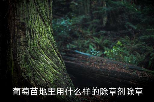 種植葡萄噴什么農藥好用