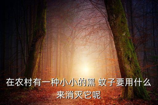 在農村有一種小小的黑 蚊子要用什么來消滅它呢