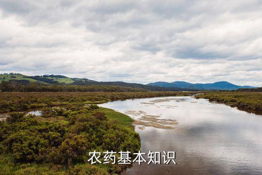 農藥殺菌劑什么叫機理