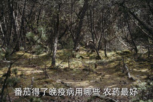 番茄得了晚疫病用哪些 農藥最好