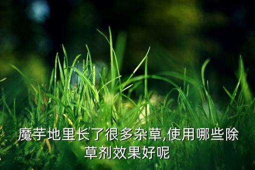 魔芋腐爛打什么農藥,魔芋桿腐爛用什么藥