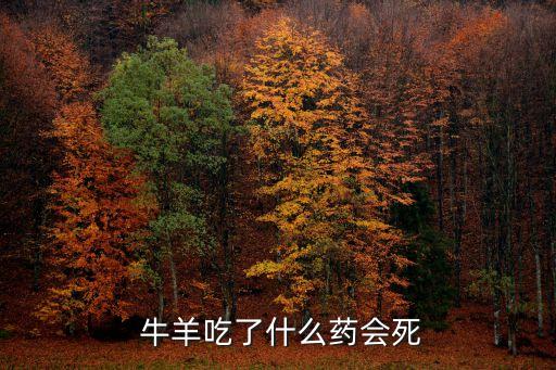 牛羊吃農(nóng)藥用什么藥,什么藥牛羊吃了慢性死亡