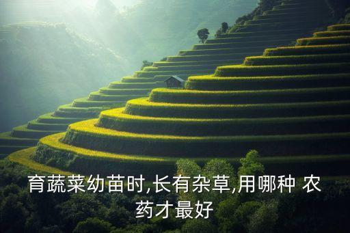 育蔬菜幼苗時,長有雜草,用哪種 農藥才最好