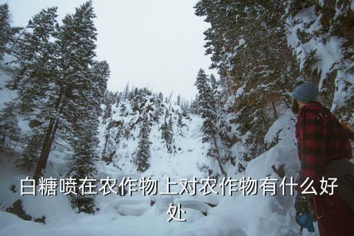  白糖噴在農(nóng)作物上對農(nóng)作物有什么好處