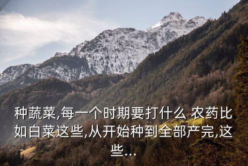 種蔬菜,每一個(gè)時(shí)期要打什么 農(nóng)藥比如白菜這些,從開始種到全部產(chǎn)完,這些...