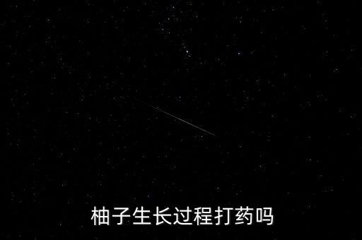  柚子生長過程打藥嗎