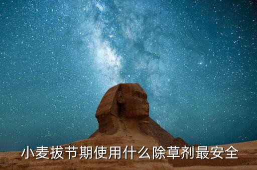  小麥拔節(jié)期使用什么除草劑最安全