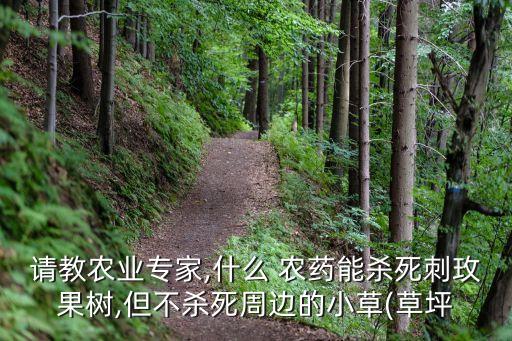 什么農藥打草死打樹不死,打草用什么農藥好