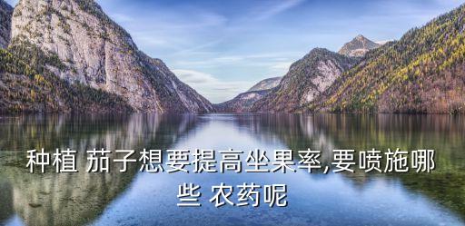 打茄子用什么農藥好用些,什么農藥對茄子有害