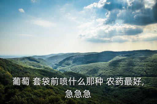 套袋里打什么農藥最好