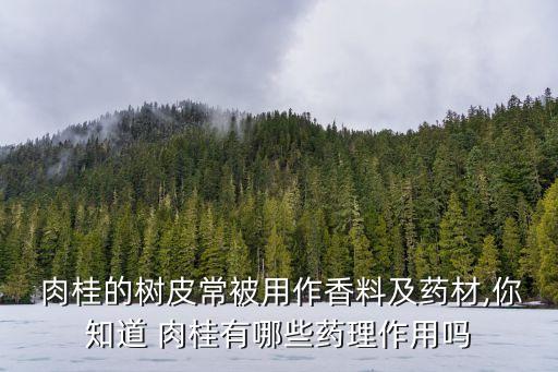 肉桂苗噴什么農藥好呢,玉米苗噴什么農藥