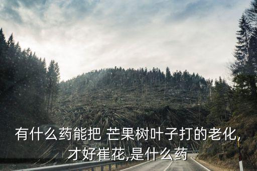 有什么藥能把 芒果樹葉子打的老化,才好崔花,是什么藥