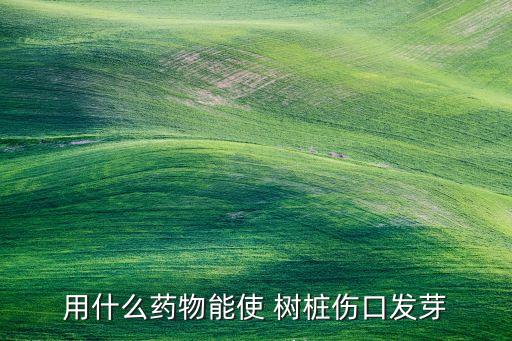用什么藥物能使 樹樁傷口發芽