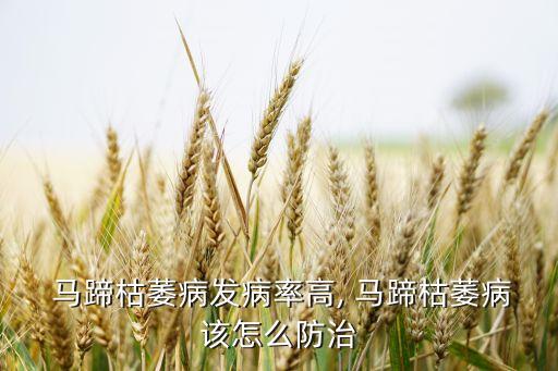  馬蹄枯萎病發病率高, 馬蹄枯萎病該怎么防治