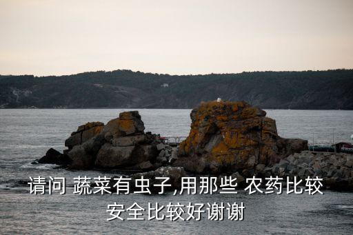 請問 蔬菜有蟲子,用那些 農藥比較安全比較好謝謝