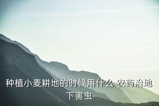 什么農藥對蠐螬有效,防治蠐螬用什么農藥