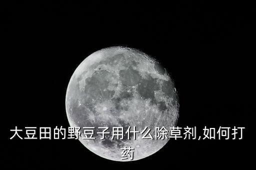 豆育苗打什么農藥,蔬菜育苗用什么農藥
