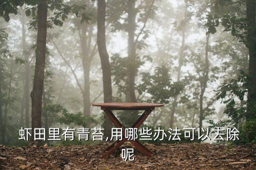  蝦田里有青苔,用哪些辦法可以去除呢