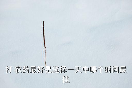 打 農藥最好是選擇一天中哪個時間最佳